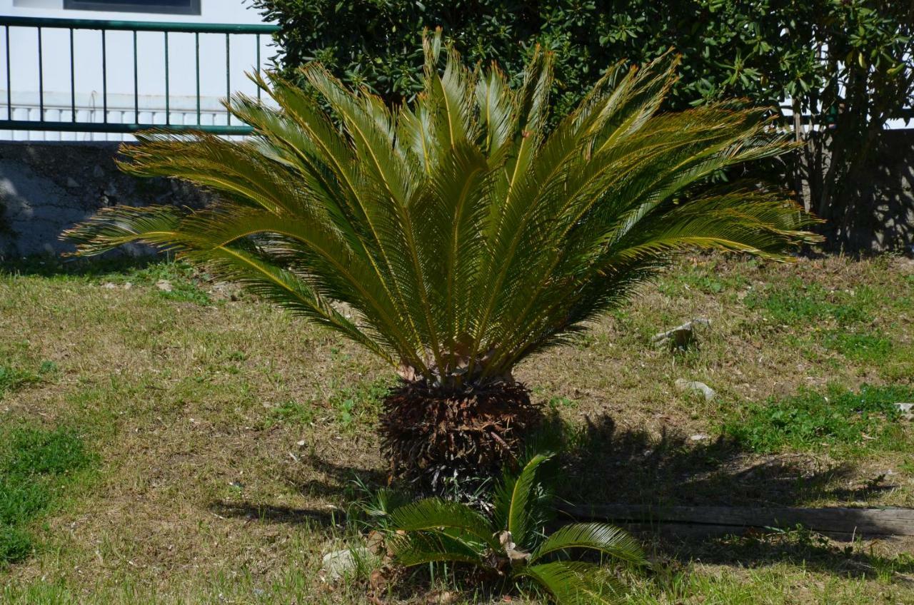 Apartments Dida Split Kültér fotó
